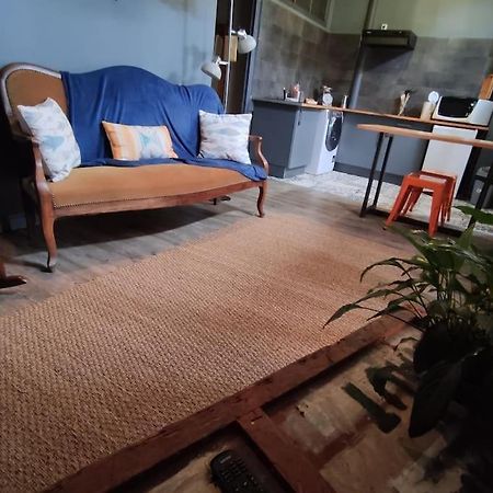 Studio 1 Chambre Ideal Salaries Nomades Montauban Kültér fotó