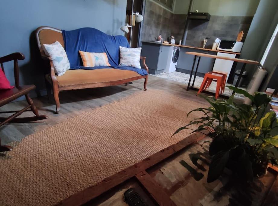Studio 1 Chambre Ideal Salaries Nomades Montauban Kültér fotó